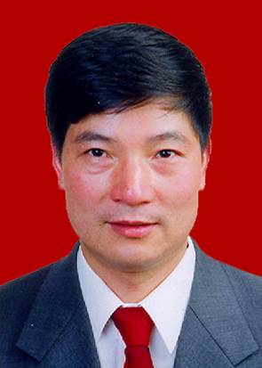 邓卫民(广东省应急管理厅巡视员)