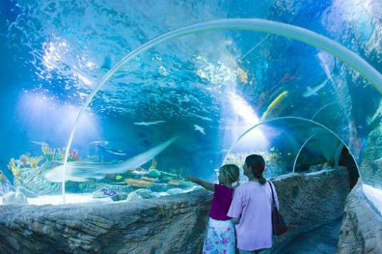 海洋世界(以海洋为主题的公园)