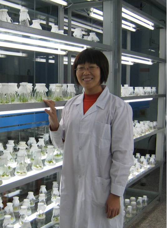 刘艳芬(河北工程大学园林与生态工程学院教师)