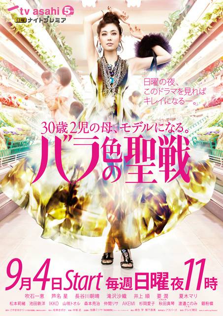 蔷薇色圣战(2011年吹石一惠主演日本电视剧)