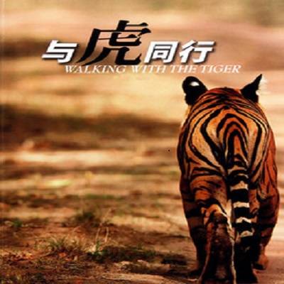 与虎同行(2010年中国大百科全书出版社出版的图书)