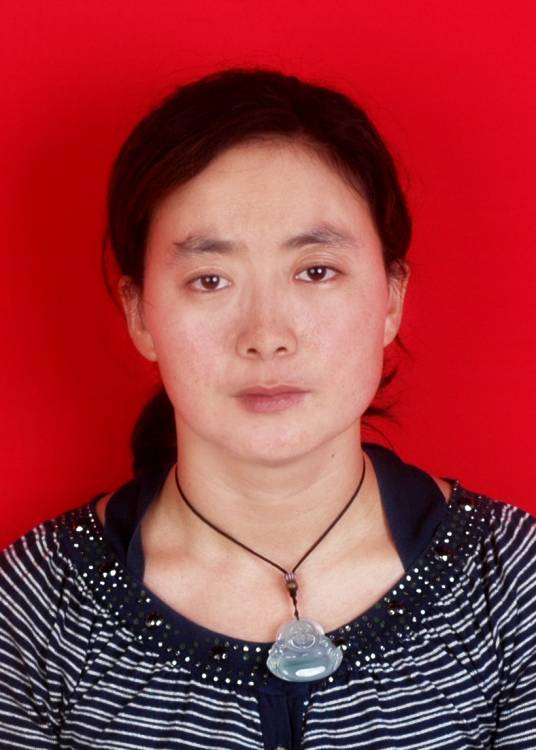 朱春华(河南工业大学信息科学与工程学院教授)