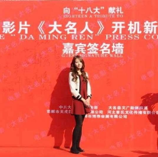 大名人(2012年朱丹执导剧情电影)