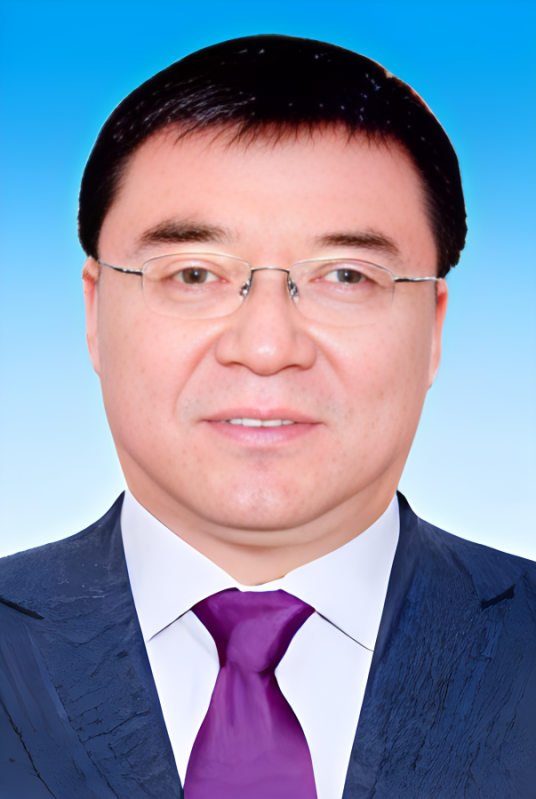 刘峰(中国煤炭工业协会副会长、中国煤炭学会理事长)