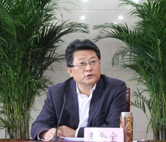 王金宝(原山东省农业厅厅长、党组书记)