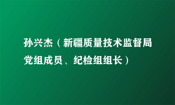 孙兴杰(新疆质量技术监督局党组成员、纪检组组长)