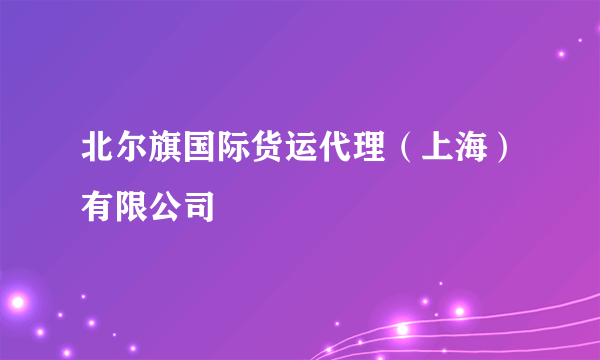 北尔旗国际货运代理(上海)有限公司