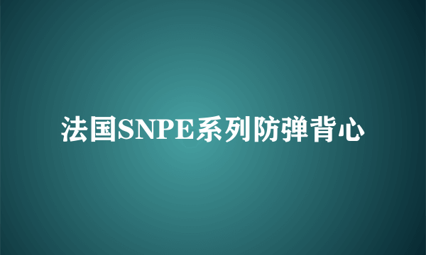 法国SNPE系列防弹背心