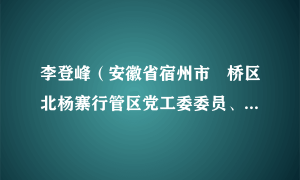 李登峰（安徽省宿州市埇桥区北杨寨行管区党工委委员、副主任）