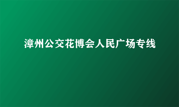 漳州公交花博会人民广场专线