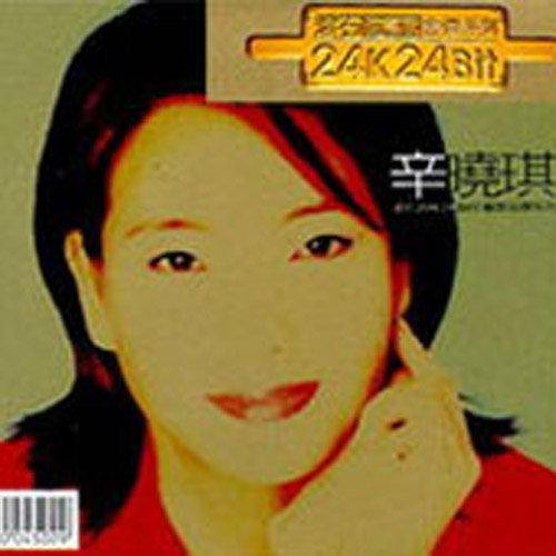 说谎的女人（辛晓琪演唱的歌曲）