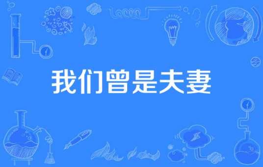 我们曾是夫妻(北京大运影视文化有限公司出品的都市剧)