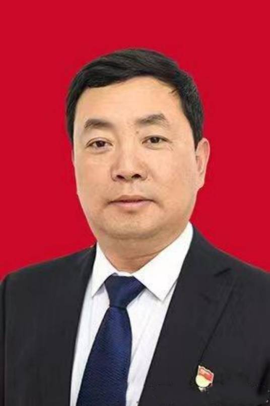 薛向阳(山西省临汾市蒲县县委副书记、县人民政府党组书记、县长)