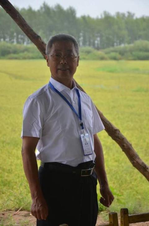 王伯伦（沈阳农业大学教授）