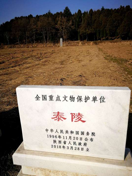 泰陵(隋文帝杨坚陵寝)