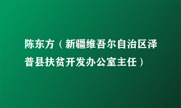 陈东方(新疆维吾尔自治区泽普县扶贫开发办公室主任)