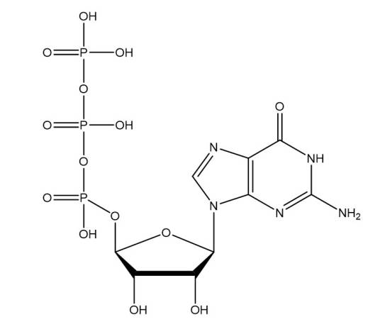 三磷酸鸟苷