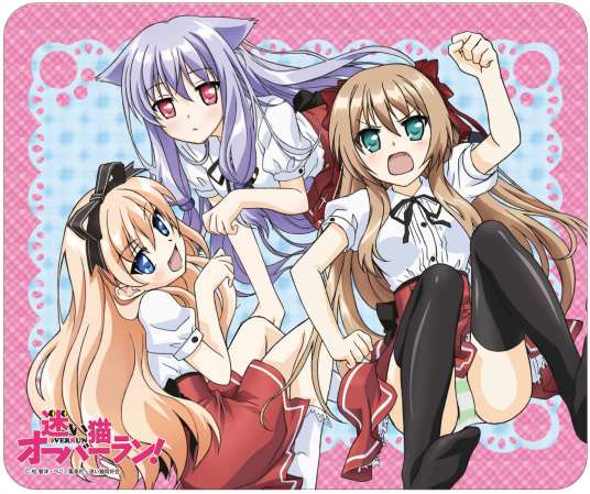 娇蛮猫娘大横行!(AIC改编的电视动画)