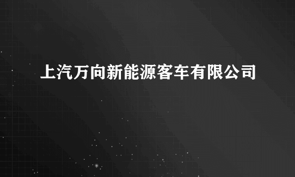 上汽万向新能源客车有限公司