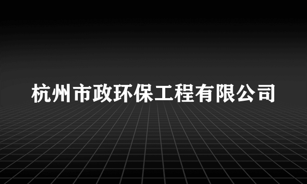 杭州市政环保工程有限公司