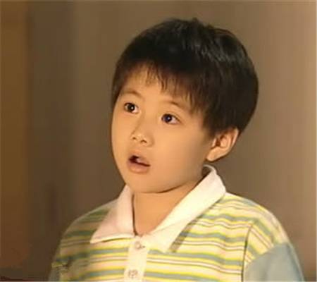 丁力(香港电视广播有限公司童星)