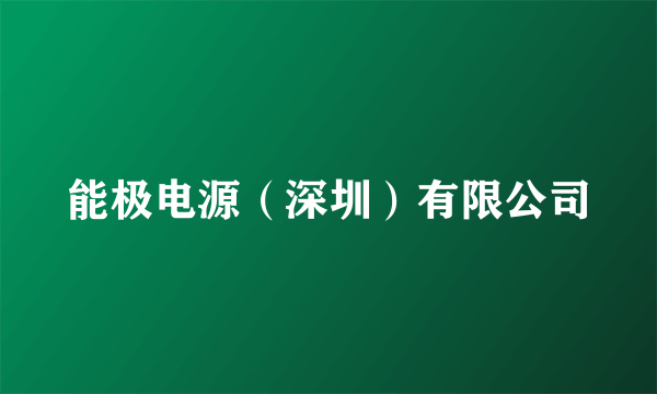 能极电源(深圳)有限公司
