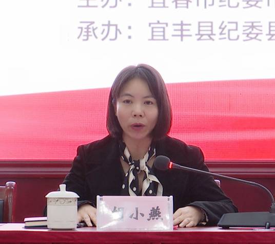 胡小燕(江西省宜春市纪委常委)