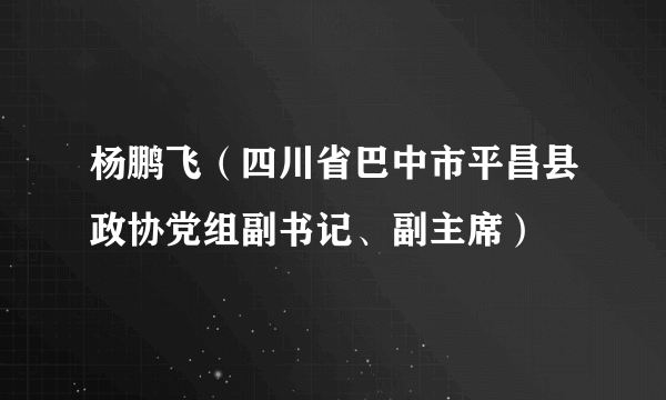 杨鹏飞(四川省巴中市平昌县政协党组副书记、副主席)