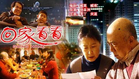 回家看看（2000年电影频道节目中心出品的电视剧）