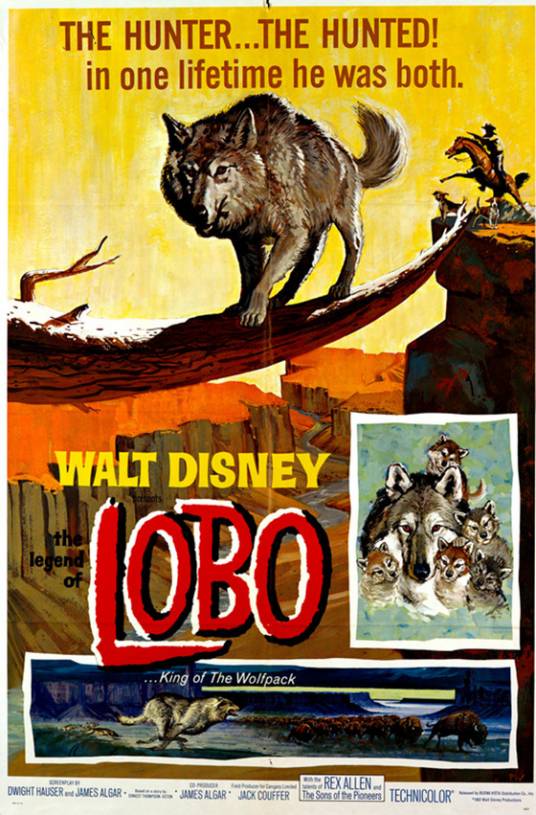 狼的传说(美国1962年Jack Couffer、占士亚加 (James Algar)执导的家庭电影)