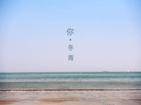 你（2017年冬青演唱歌曲）