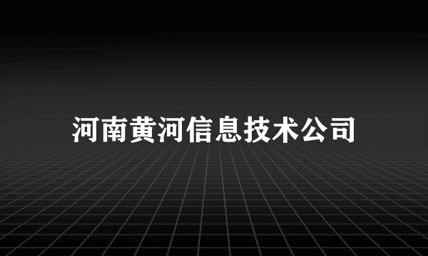 河南黄河信息技术公司