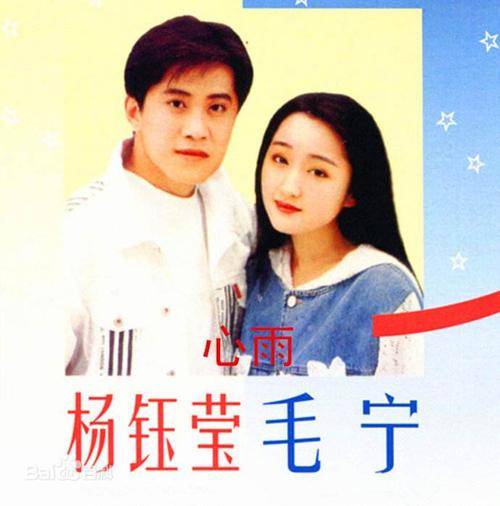 心雨(1993年杨钰莹、毛宁对唱歌曲)