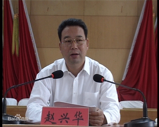 赵兴华(河南省正阳县原县委书记)