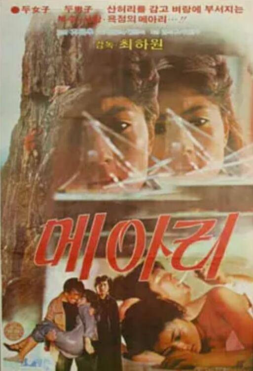 回响(韩国1981年崔夏园执导的电影)