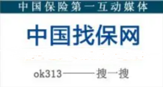 中国找保网