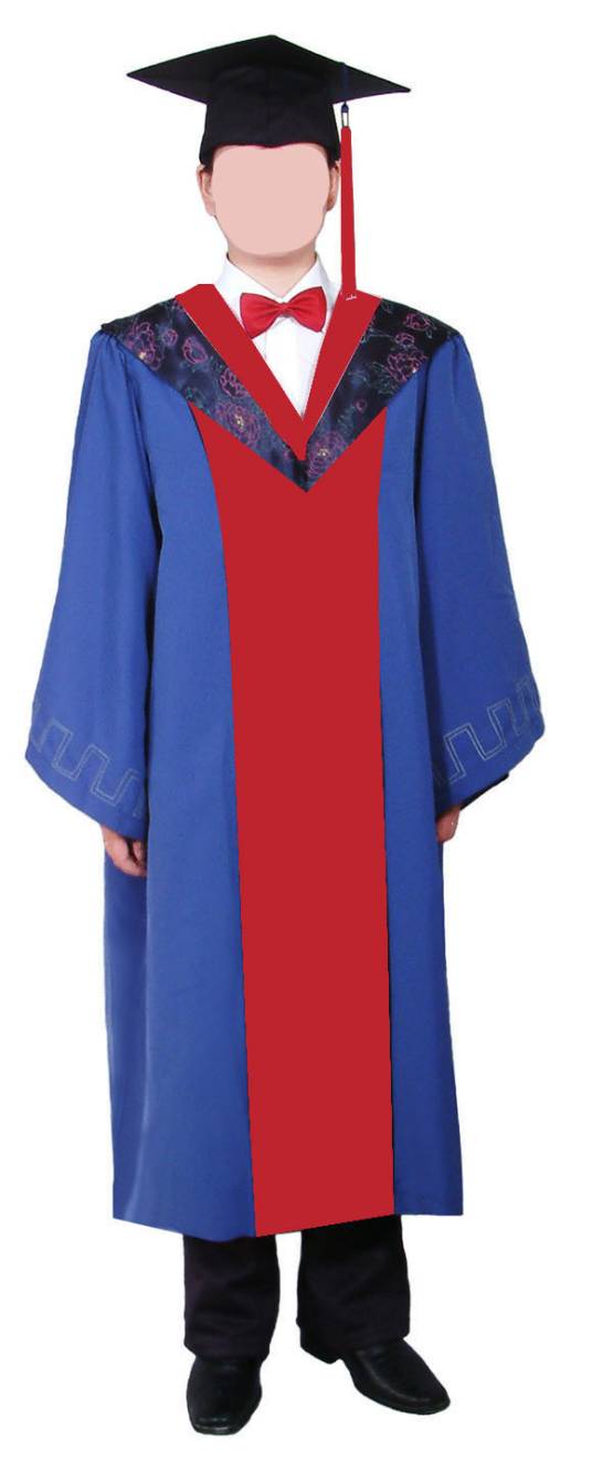 硕士(介于学士及博士之间的研究生学位)