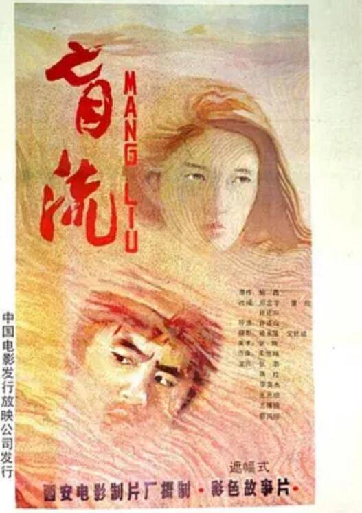 盲流(1987年许还山执导电影)