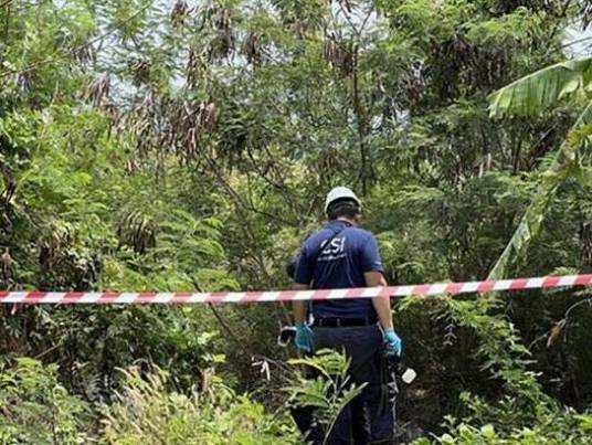 3·31中国留学生泰国遇害案