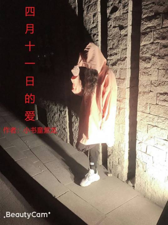 四月十一的爱