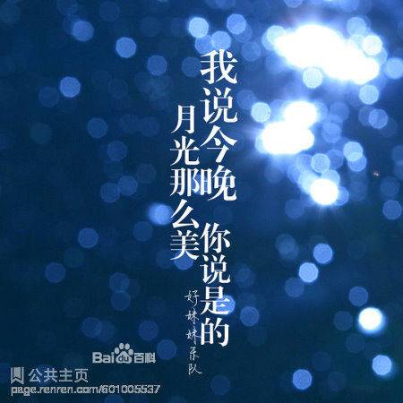 我说今晚月光那么美，你说是的