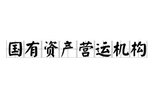 国有资产营运机构