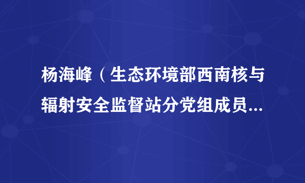 杨海峰(生态环境部西南核与辐射安全监督站分党组成员、副主任)