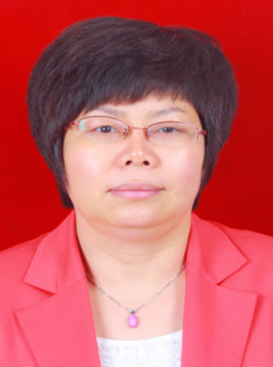 陈嘉(湖南省衡阳市衡东县人大党组副书记、副主任)