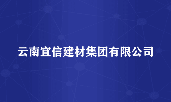 云南宜信建材集团有限公司