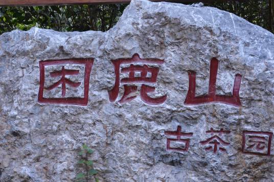 困鹿山皇家古茶园