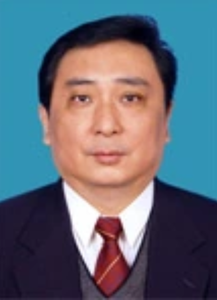 沈伟（天津市政府国有资产监督管理委员会原党委书记）