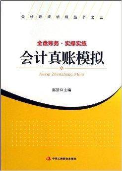 会计真账模拟