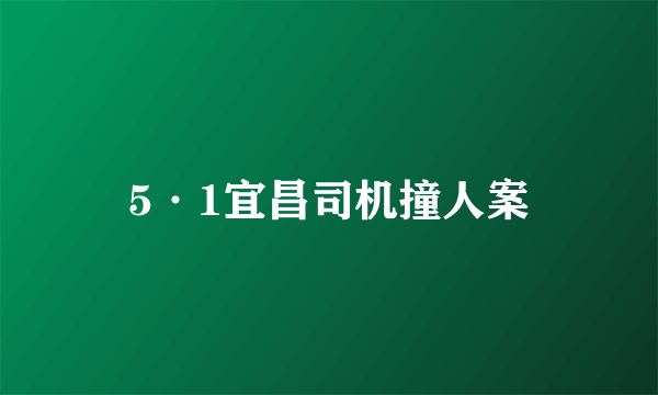 5·1宜昌司机撞人案