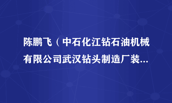 陈鹏飞(中石化江钻石油机械有限公司武汉钻头制造厂装配钳工)